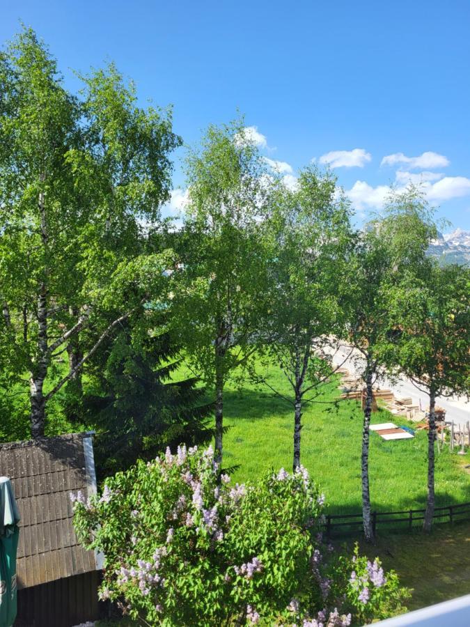 Apartments Center Zoric Žabljak Dış mekan fotoğraf